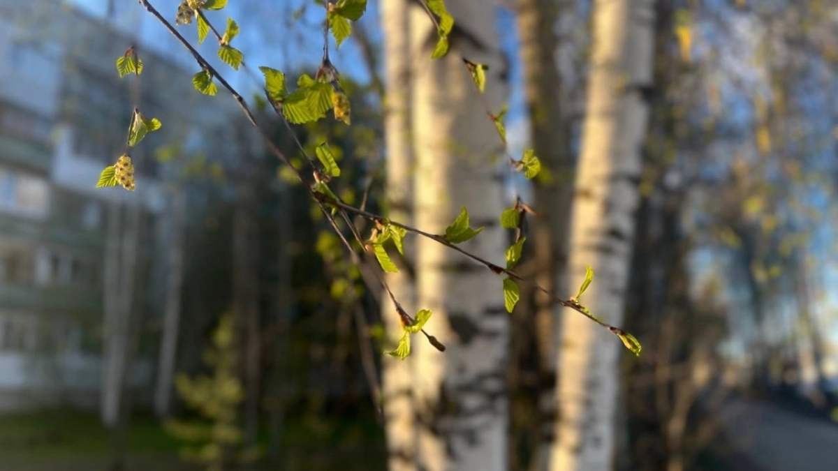 В Удмуртии ожидается резкая смена погоды 17 апреля 