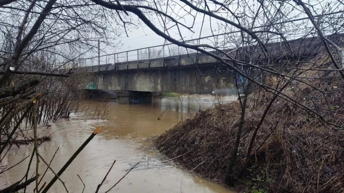 Уровень малых рек в Глазове вырос из-за сильных дождей и паводка