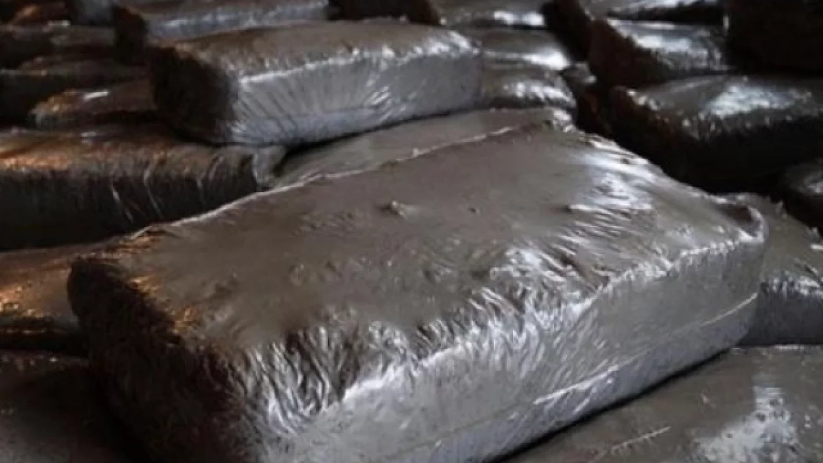 Удмуртия нарастила экспорт грибного субстрата в Казахстан до 218 тонн в 2026 году