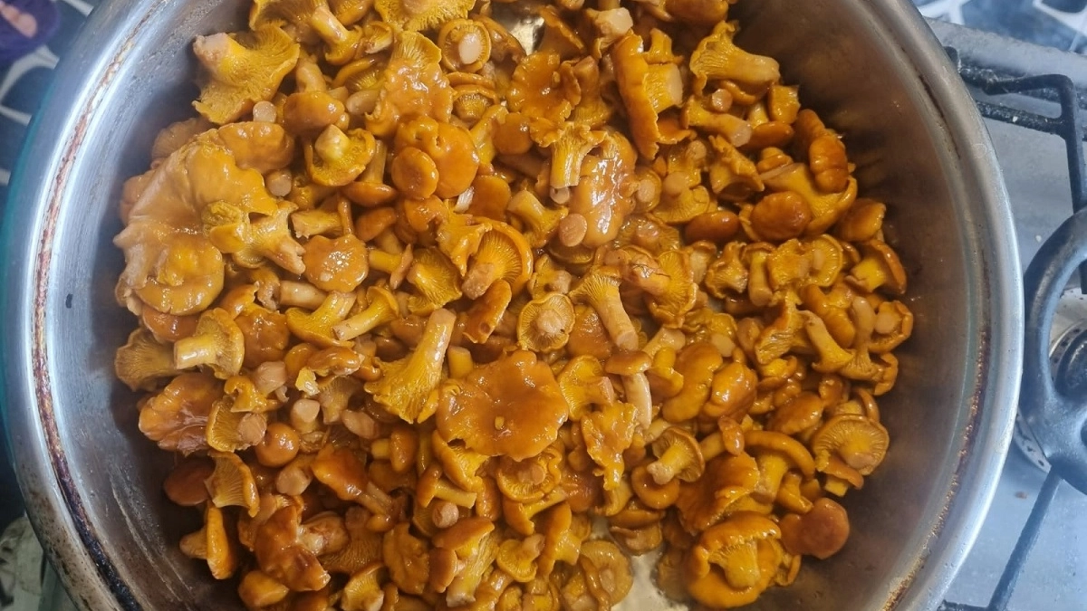 Не солить, не варить и не жарить: кандидат наук показал, что делать с грибами - плюс 100 к вкусу и пользе