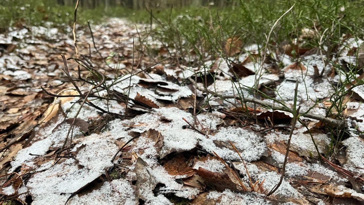 Погода в Удмуртии 27 апреля: дождь, мокрый снег и риск гололедицы
