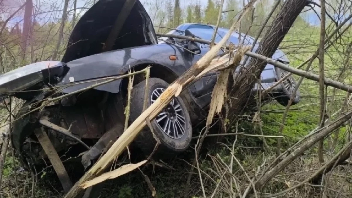 Водитель, скрывшийся с места ДТП в Удмуртии, где погибла 15‑летняя девочка, задержан