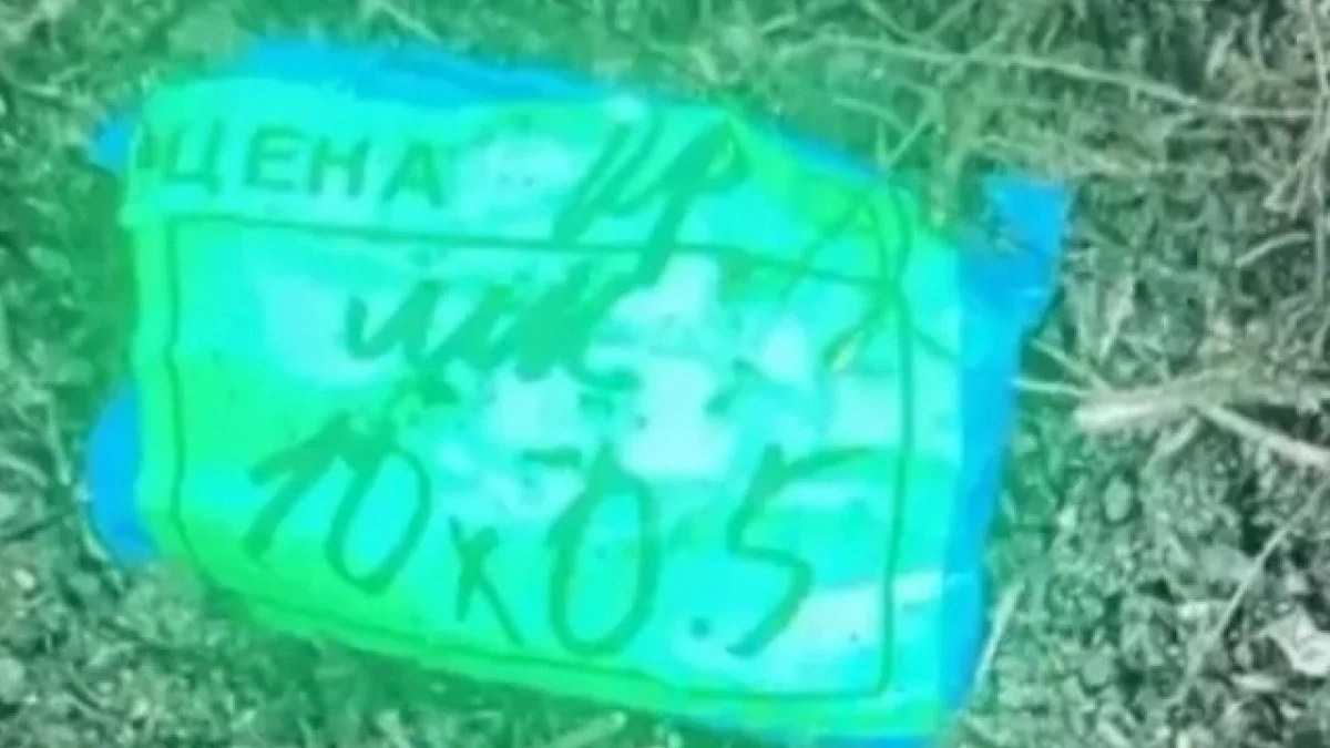 Беременная на девятом месяце женщина и ее судимый подельник попались с оптовой партией наркотиков в Удмуртии