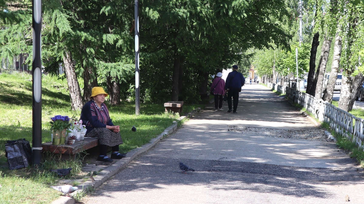 Удмуртию ждет комфортное тепло: синоптики дали прогноз погоды на 17 июня