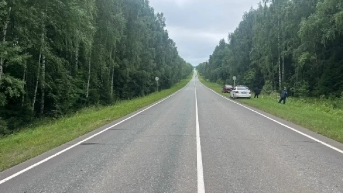 Пьяный водитель мотоблока опрокинулся на трассе в Удмуртии