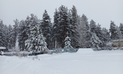 В Удмуртии морозы уступят место лёгкой оттепели: прогноз погоды на неделю 
